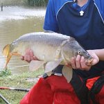 Fish caught in the lake.