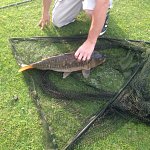 Wow what a whopper !!